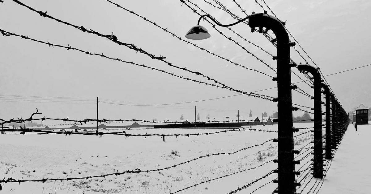 JW3 TV Holocaust Denial And Distortion JW3